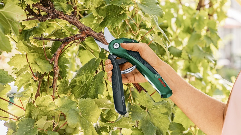 Natur, Draußen, Garten, Auf dem Land, Gartenarbeit
